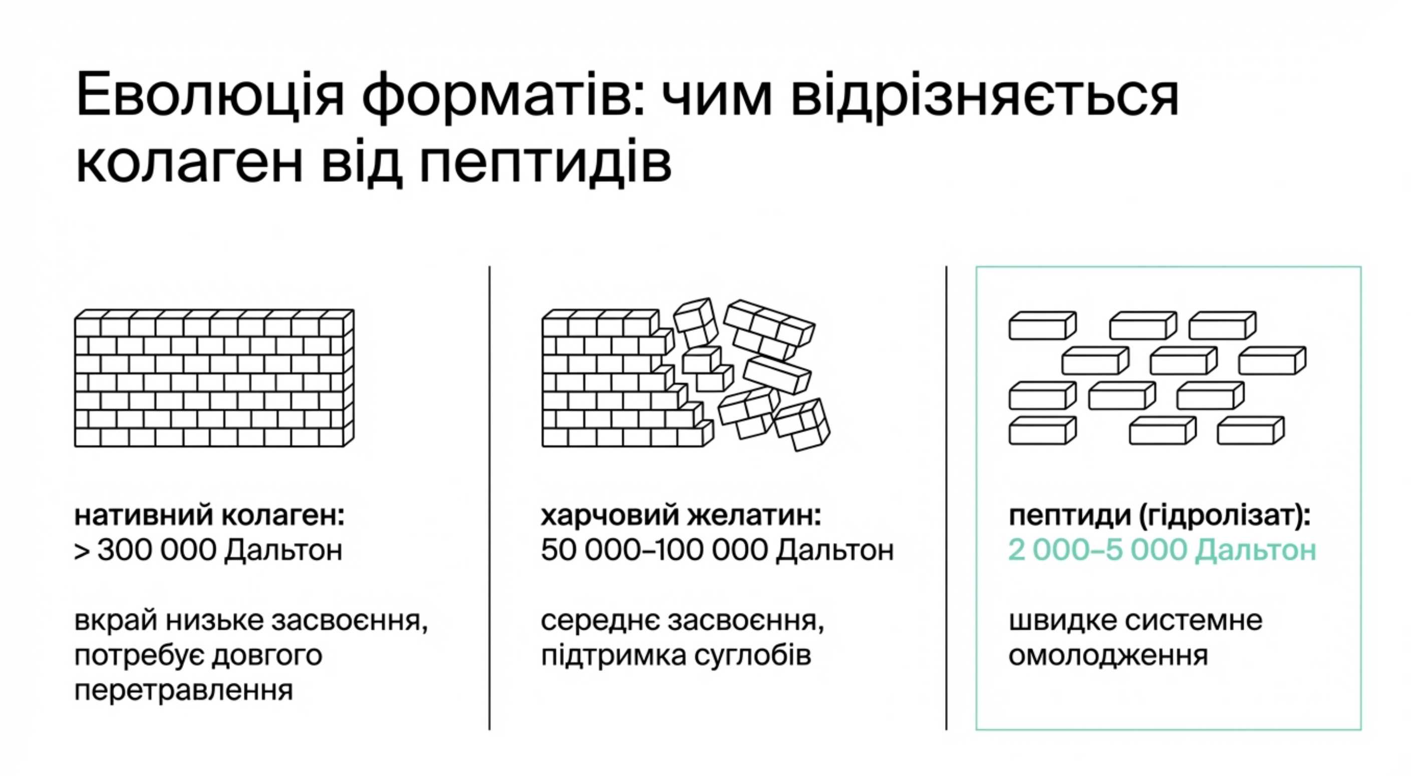 Чим відрізняється коллаген від пептидів коллагена. Еволюція форматів