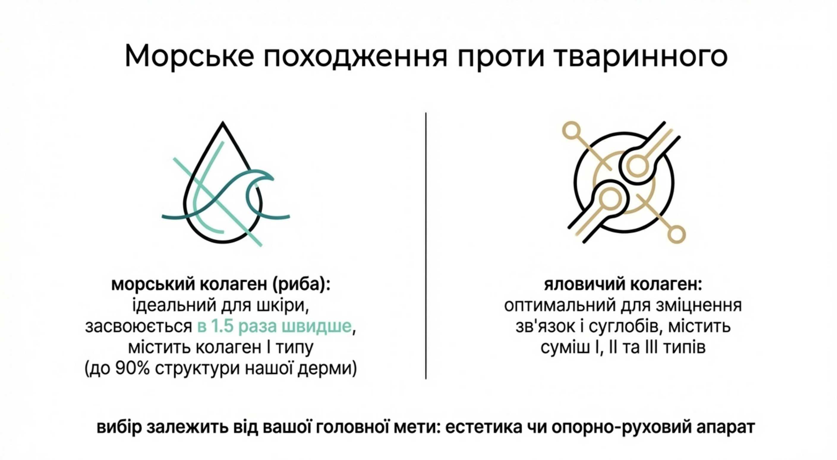 Внутрішньоклітинні процеси та біосинтез