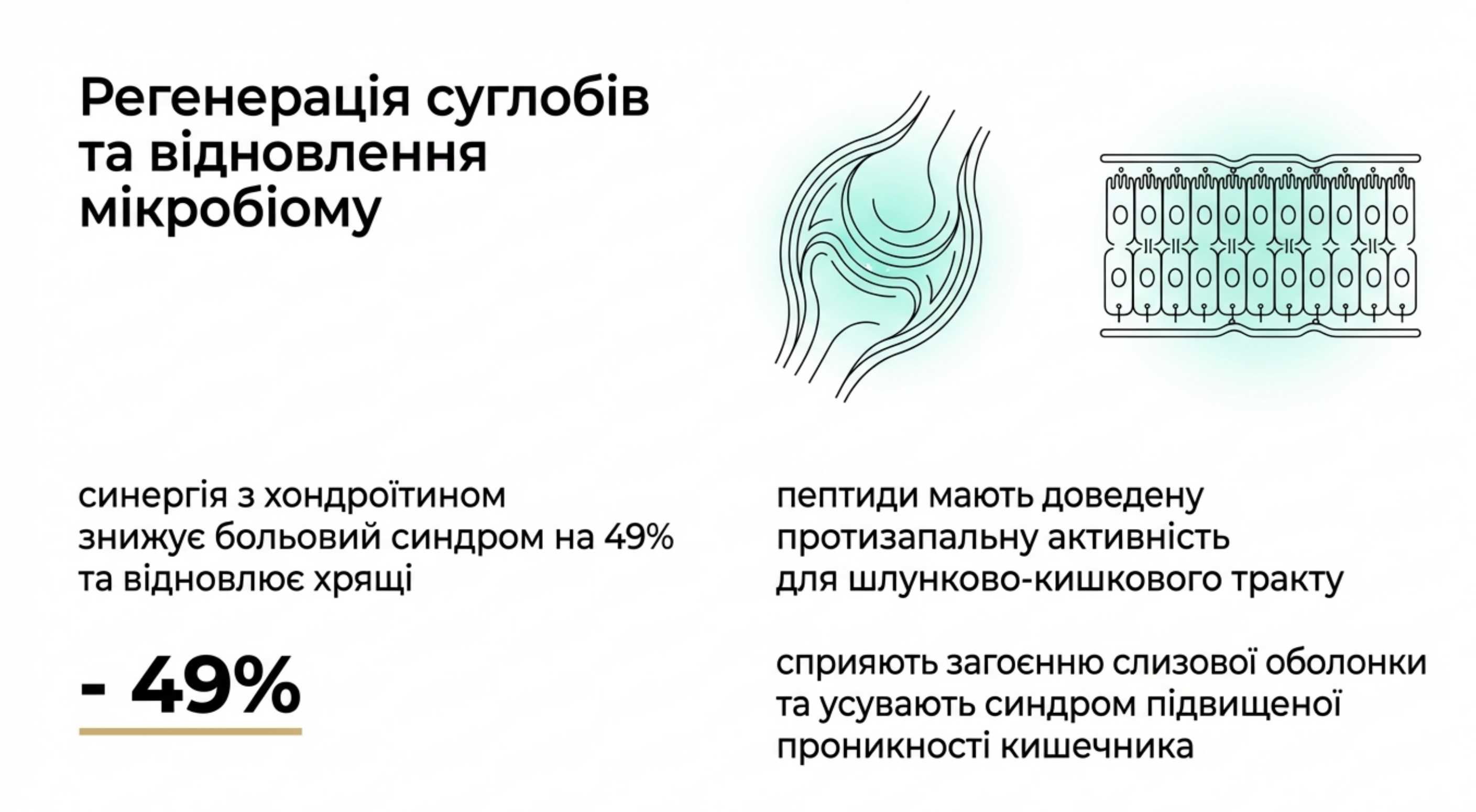 Цілеве призначення. Пептиди коллагена для чого потрібні нашому організму?