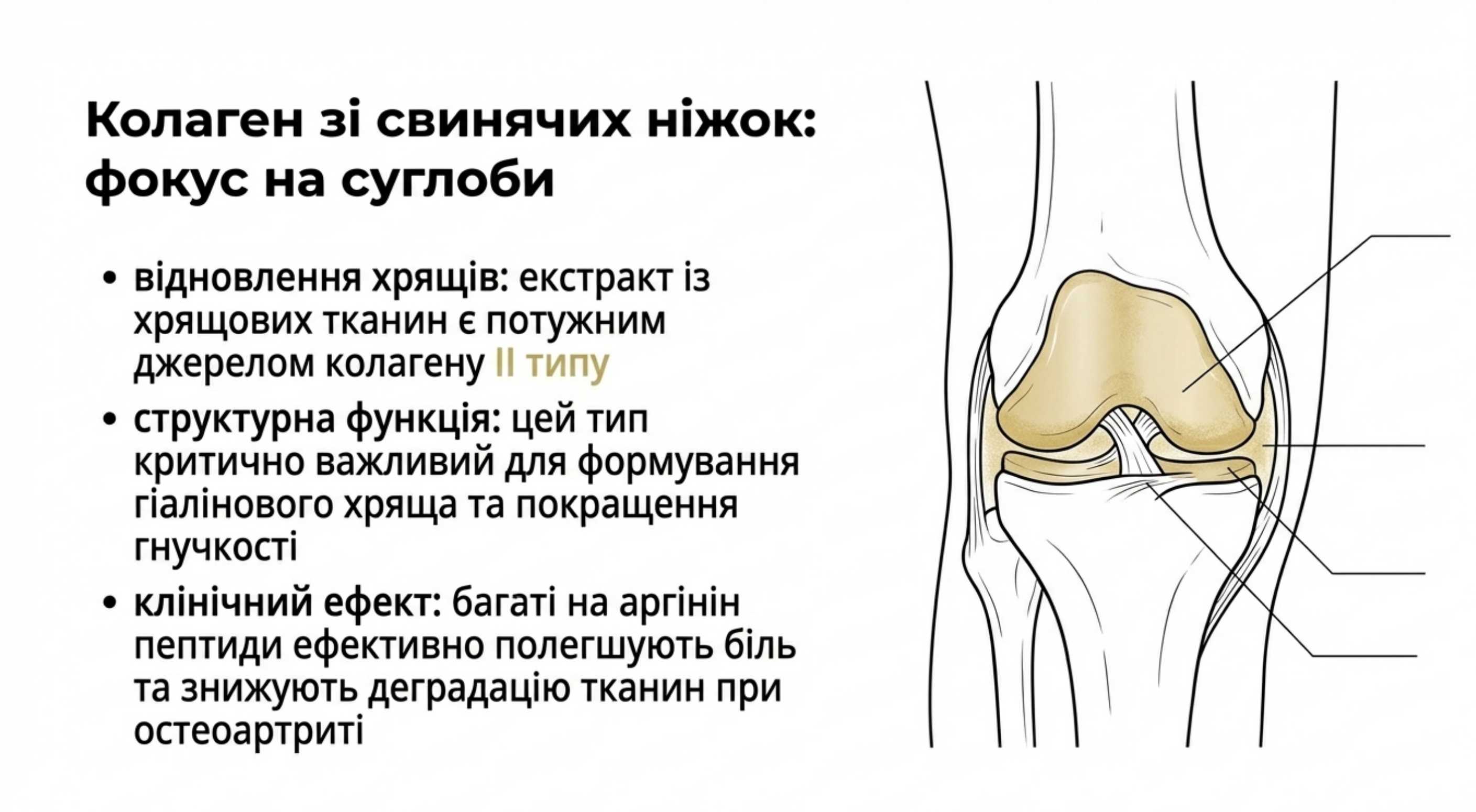 Ортопедична підтримка. Коллаген з свинячих ніжок
