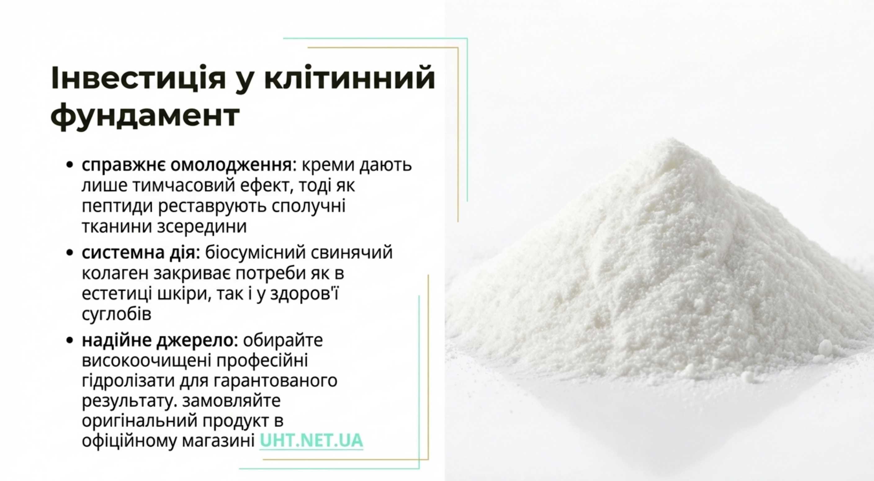 Висновок. Інвестиція в клітинний фундамент