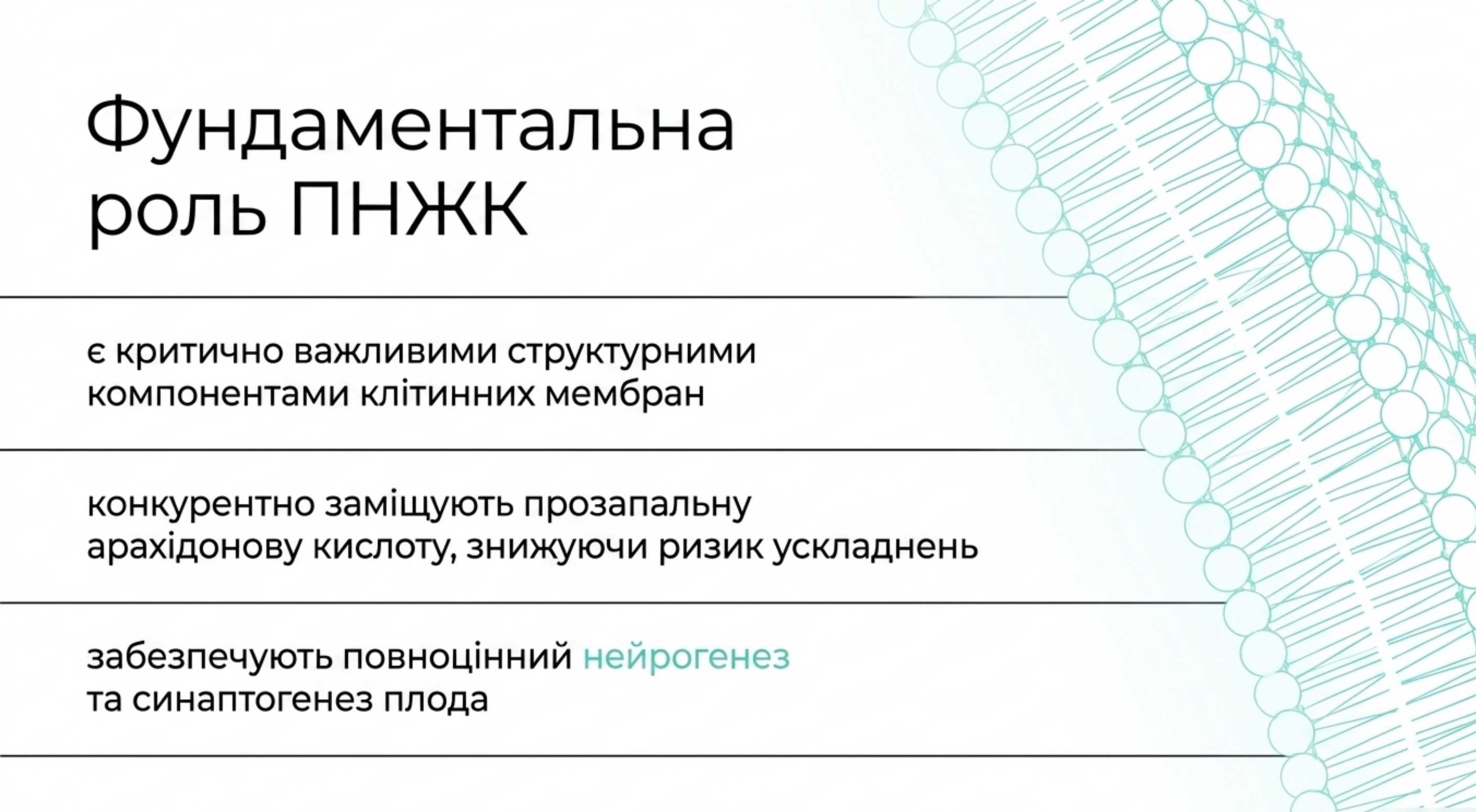 Фундаментальна роль ПНЖК. Чи потрібно пити омега 3 під час вагітності?