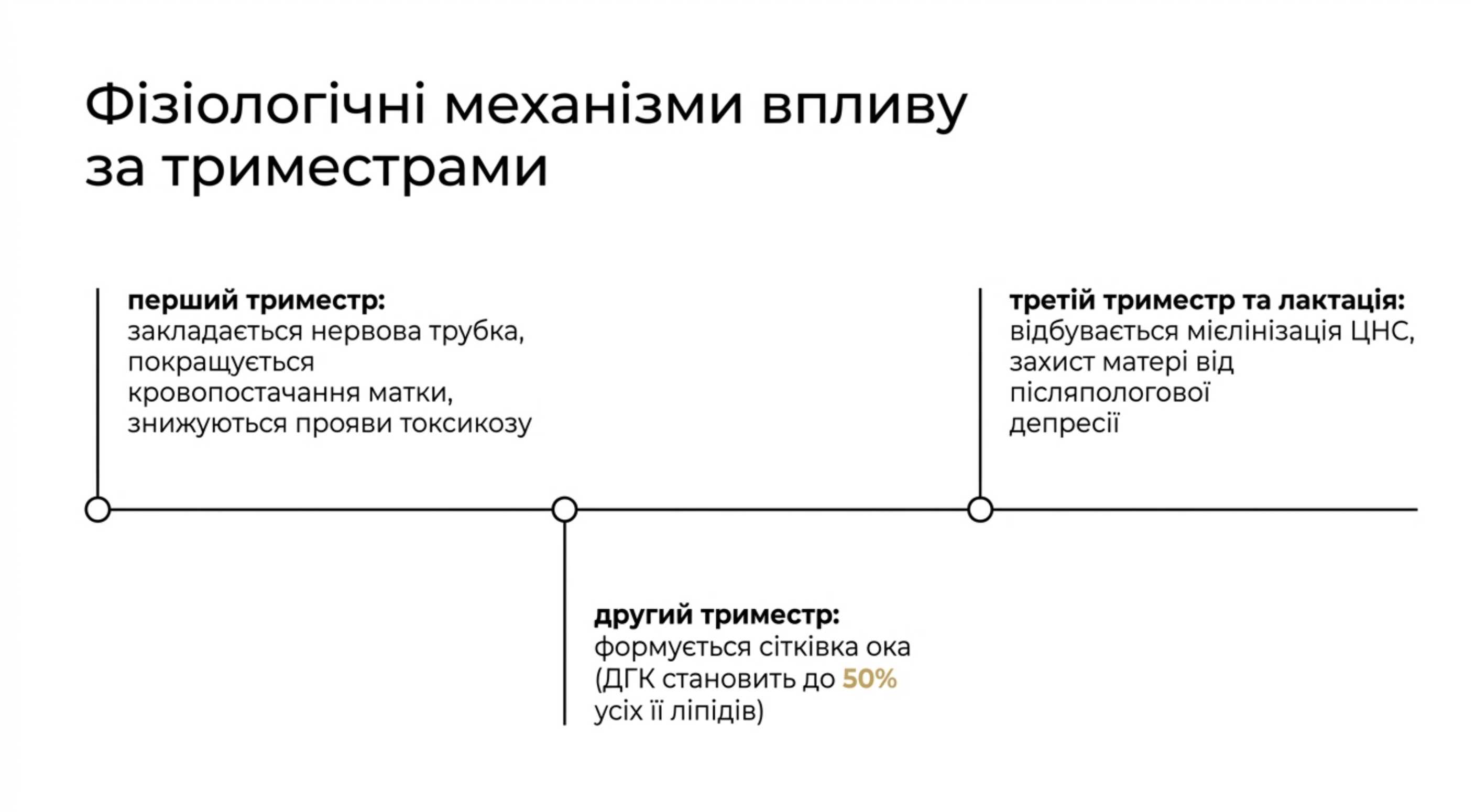 Фізіологічні механізми впливу за триместрами