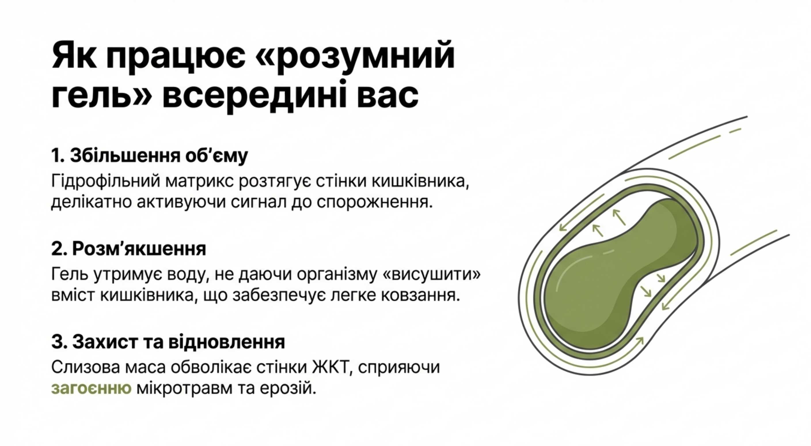 Механизм действия. Почему псиллиум эффективнее других средств