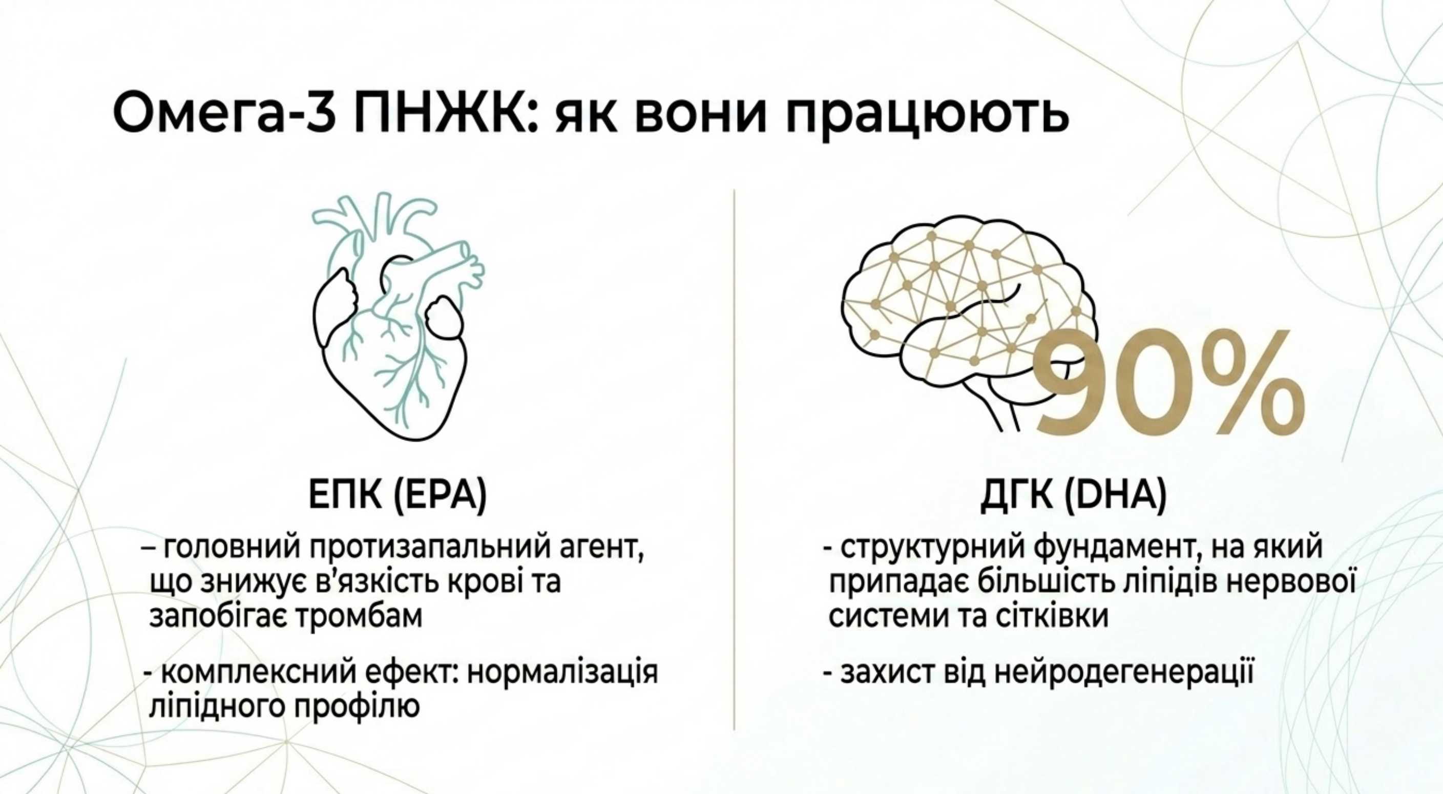 1. Кардіозахист і здорові судини