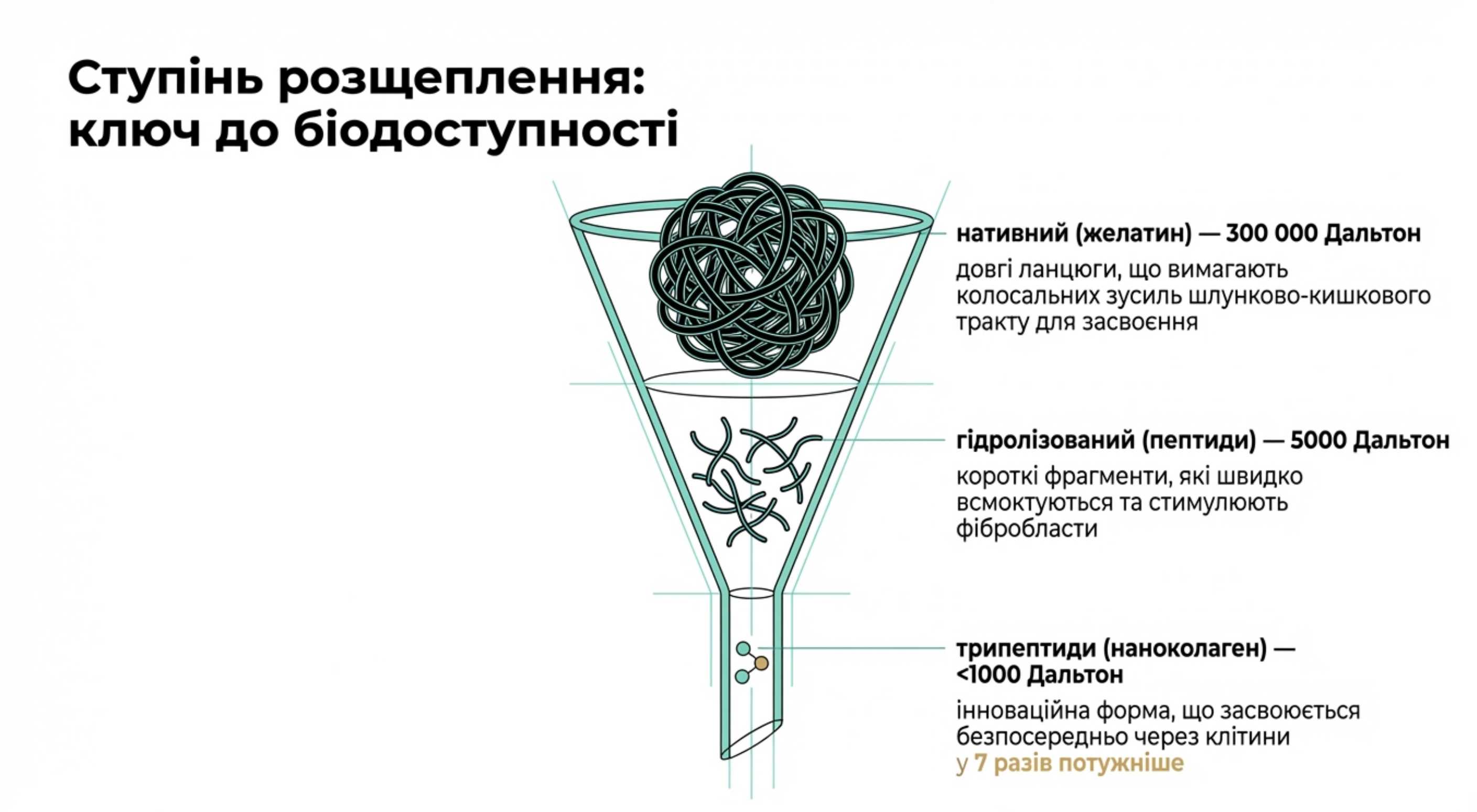 Степінь розщеплення. Ключ до біодоступності