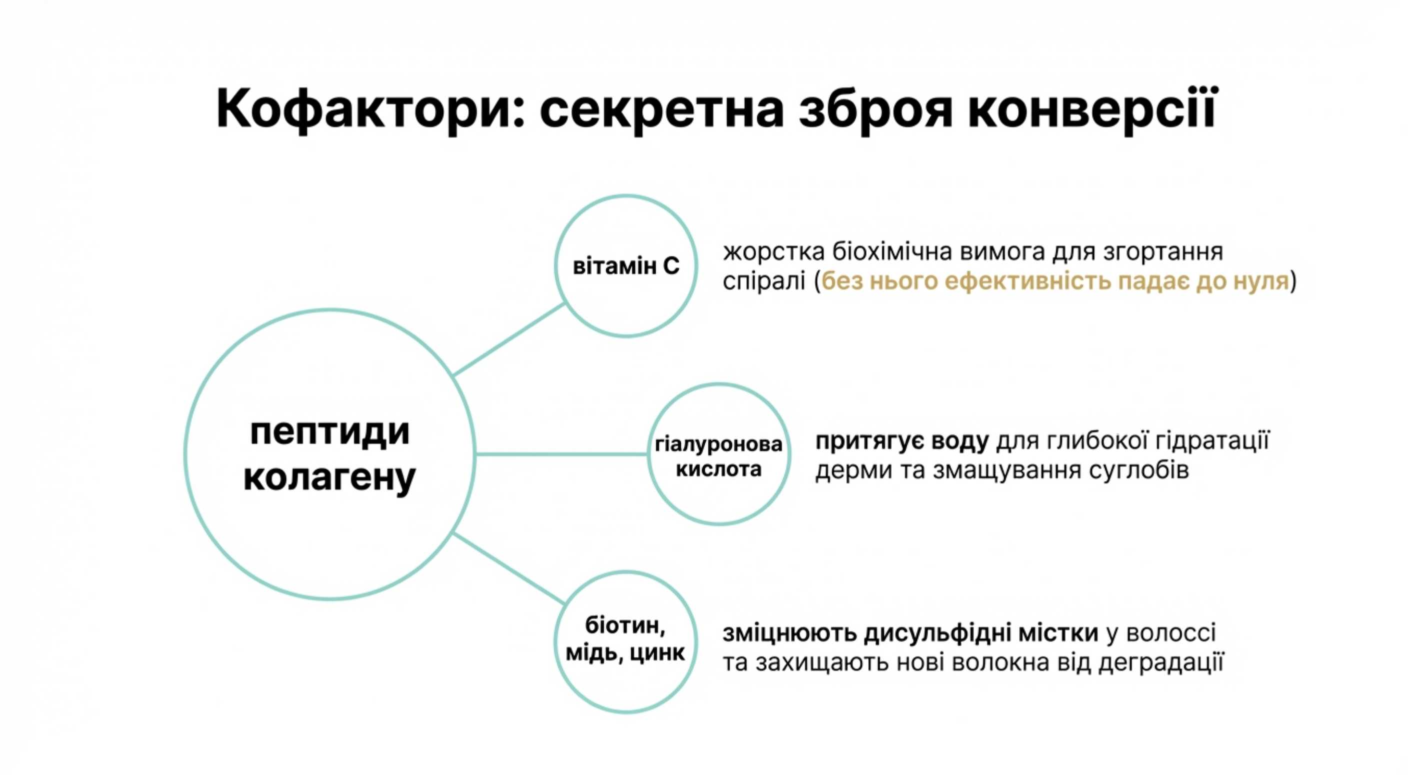 Кофактори. Таємна зброя максимальної конверсії