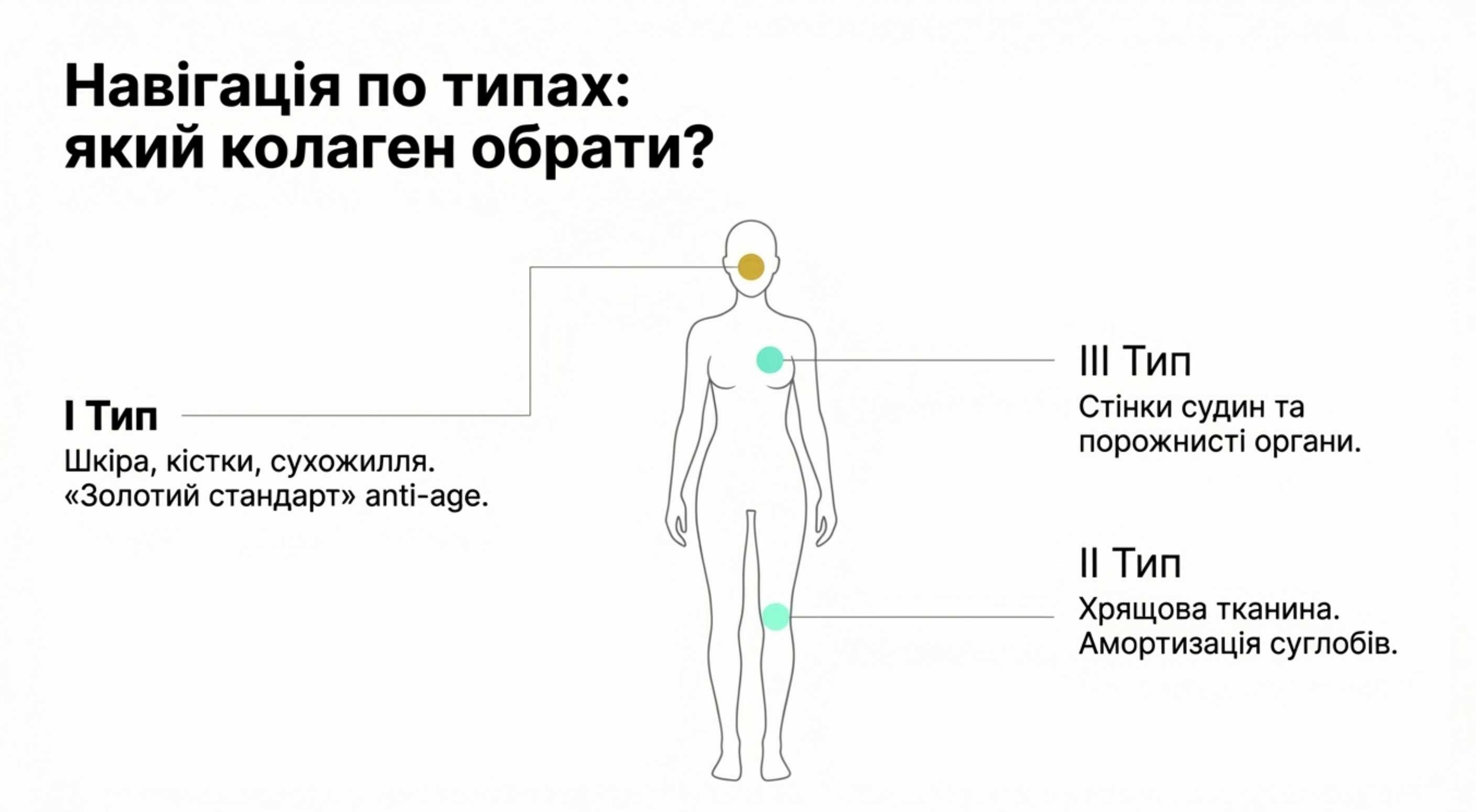 Типологія і джерела. Навігація по видам білка