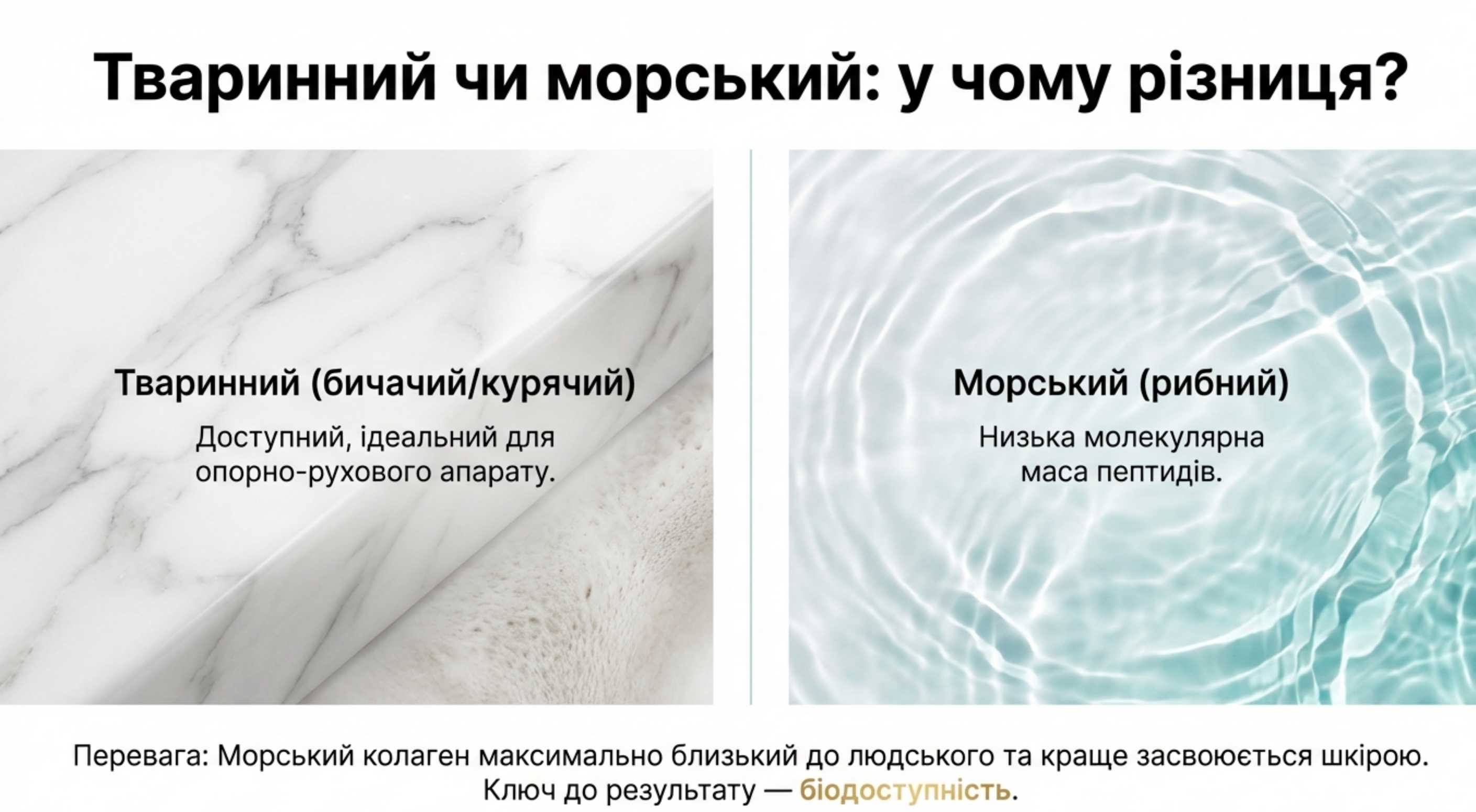 Тваринний чи Морський. Що вибрати?