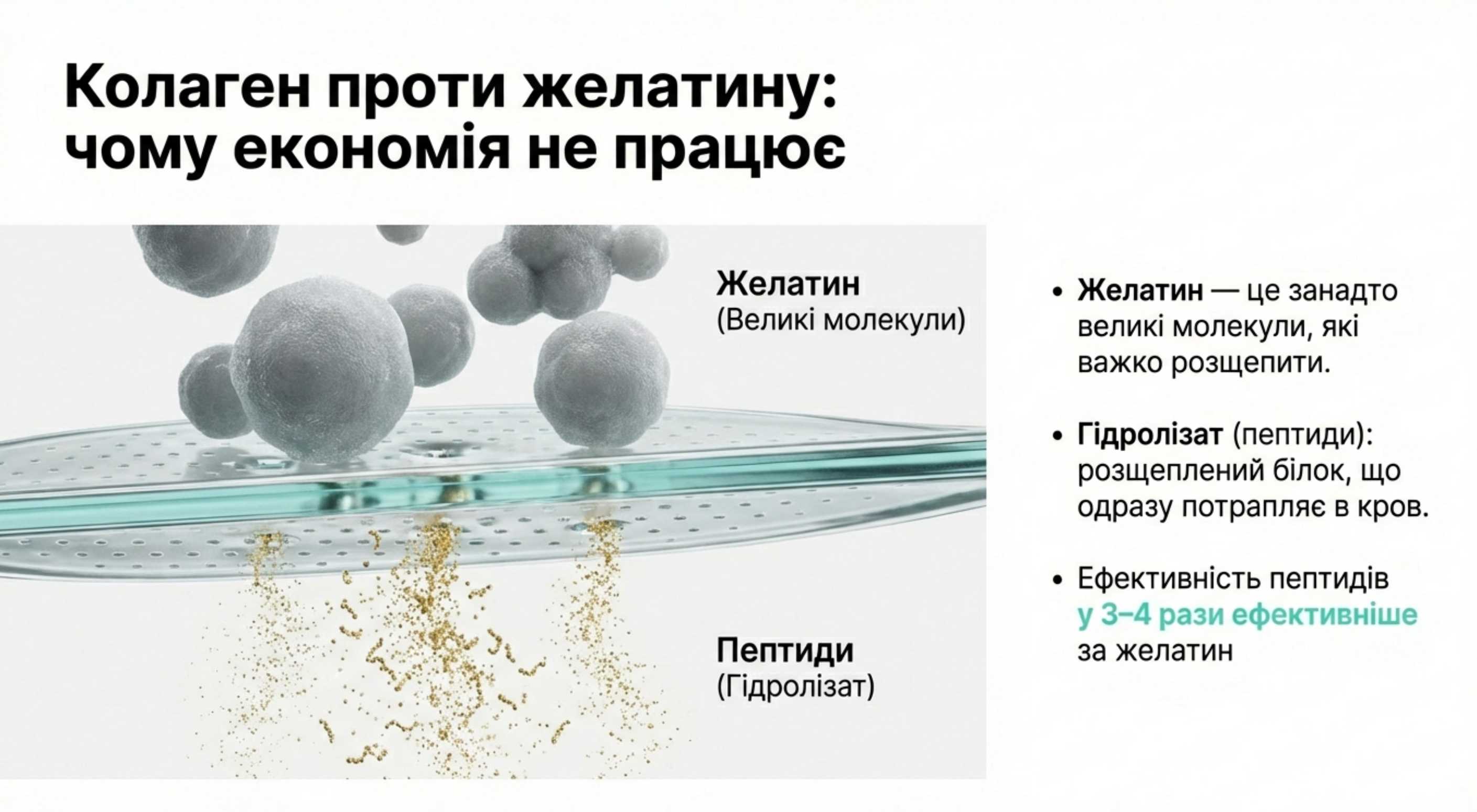Коллаген чи Желатин. Розкриття головного міфу