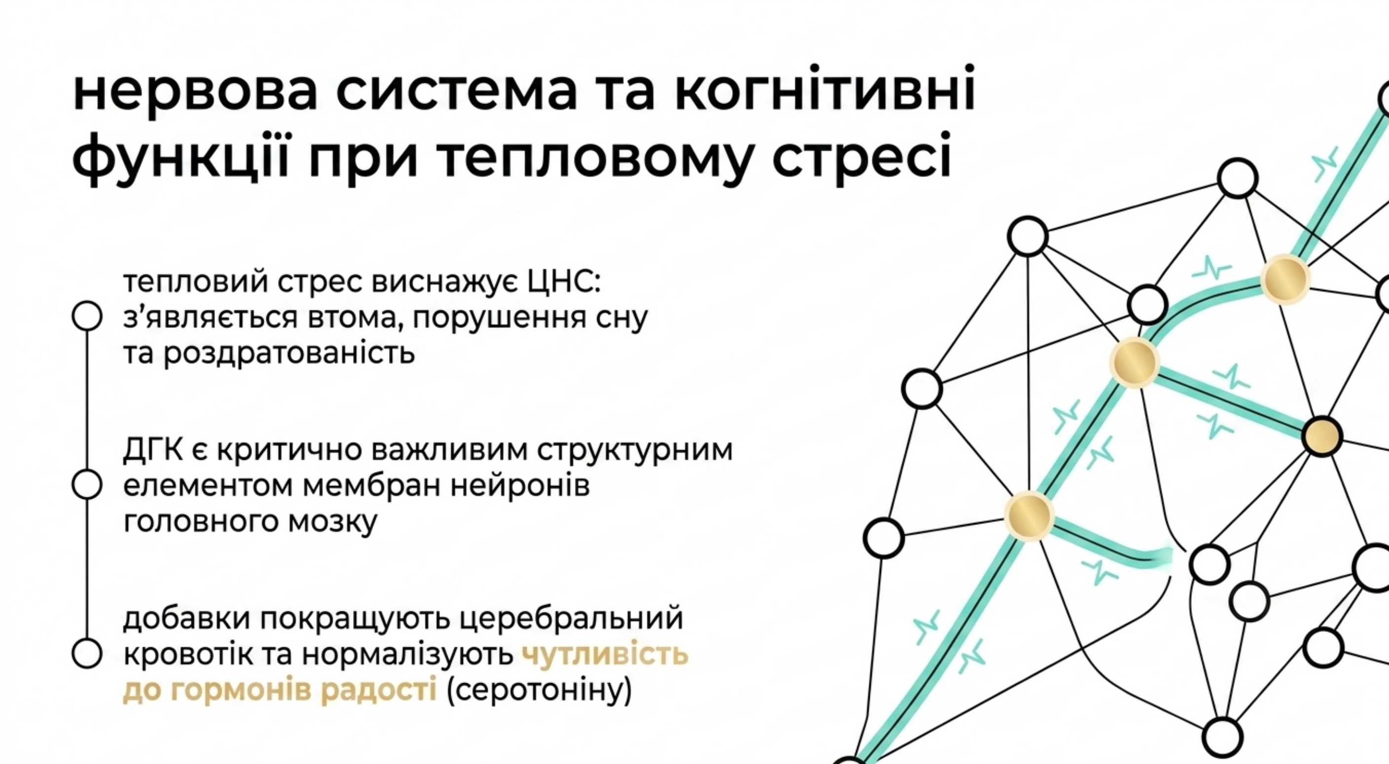 Нервова система і когнітивні функції при тепловому стресі