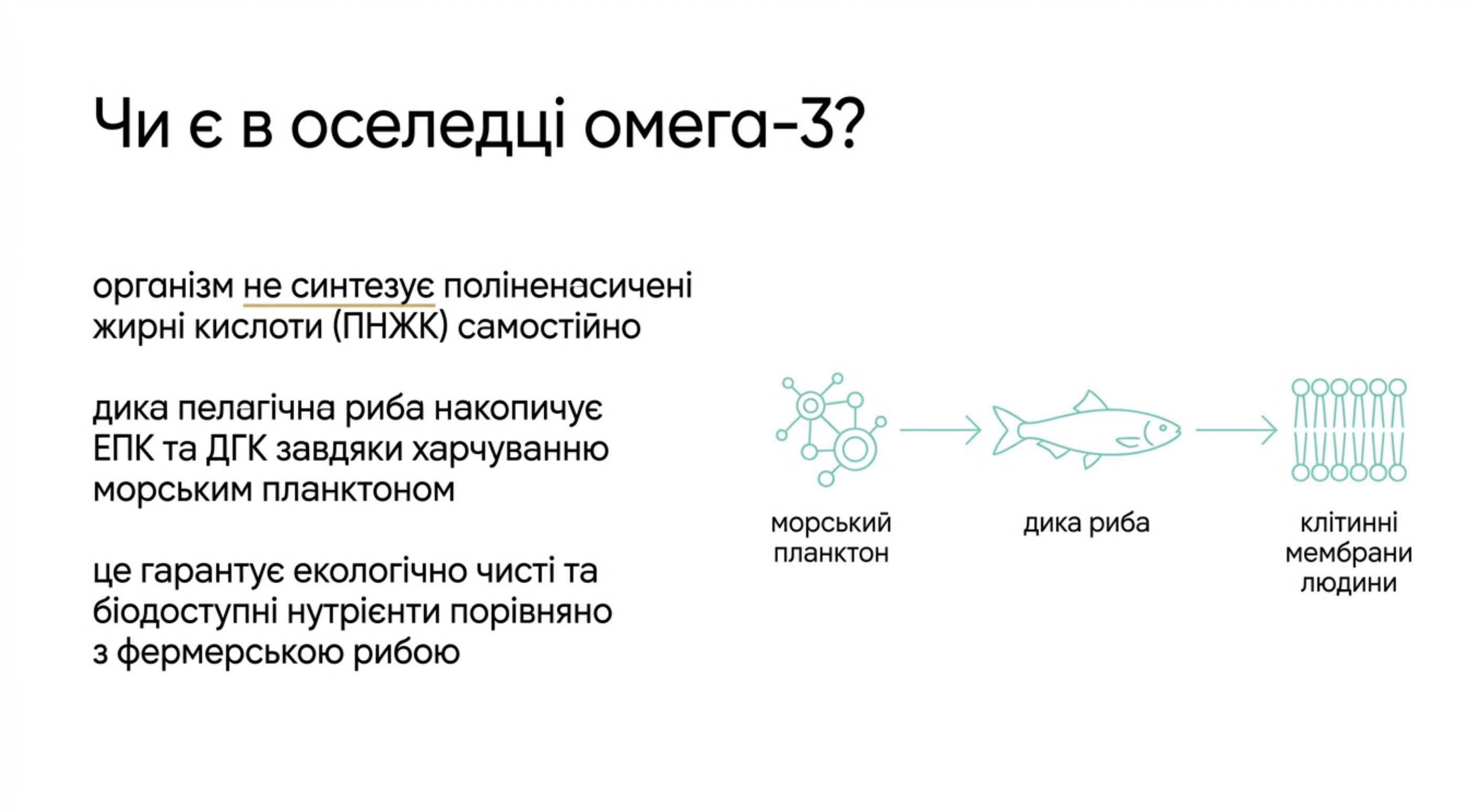 Биохимический профиль. Есть ли в селедке омега 3?