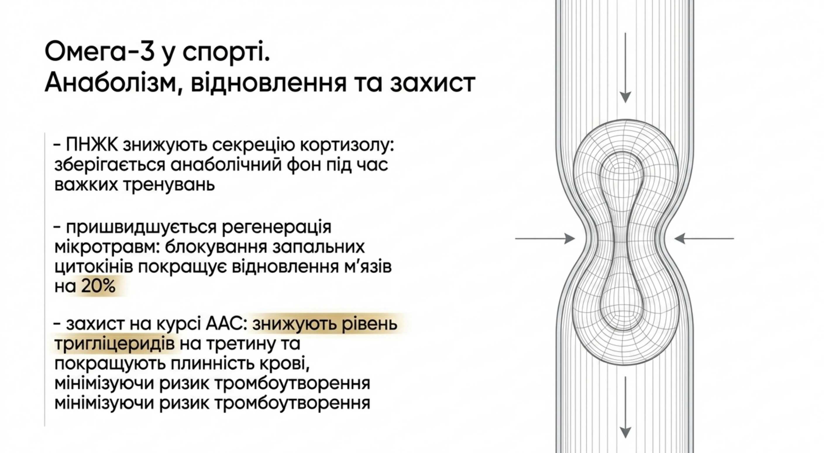 Омега-3 у спорті. Анаболізм, відновлення і захист