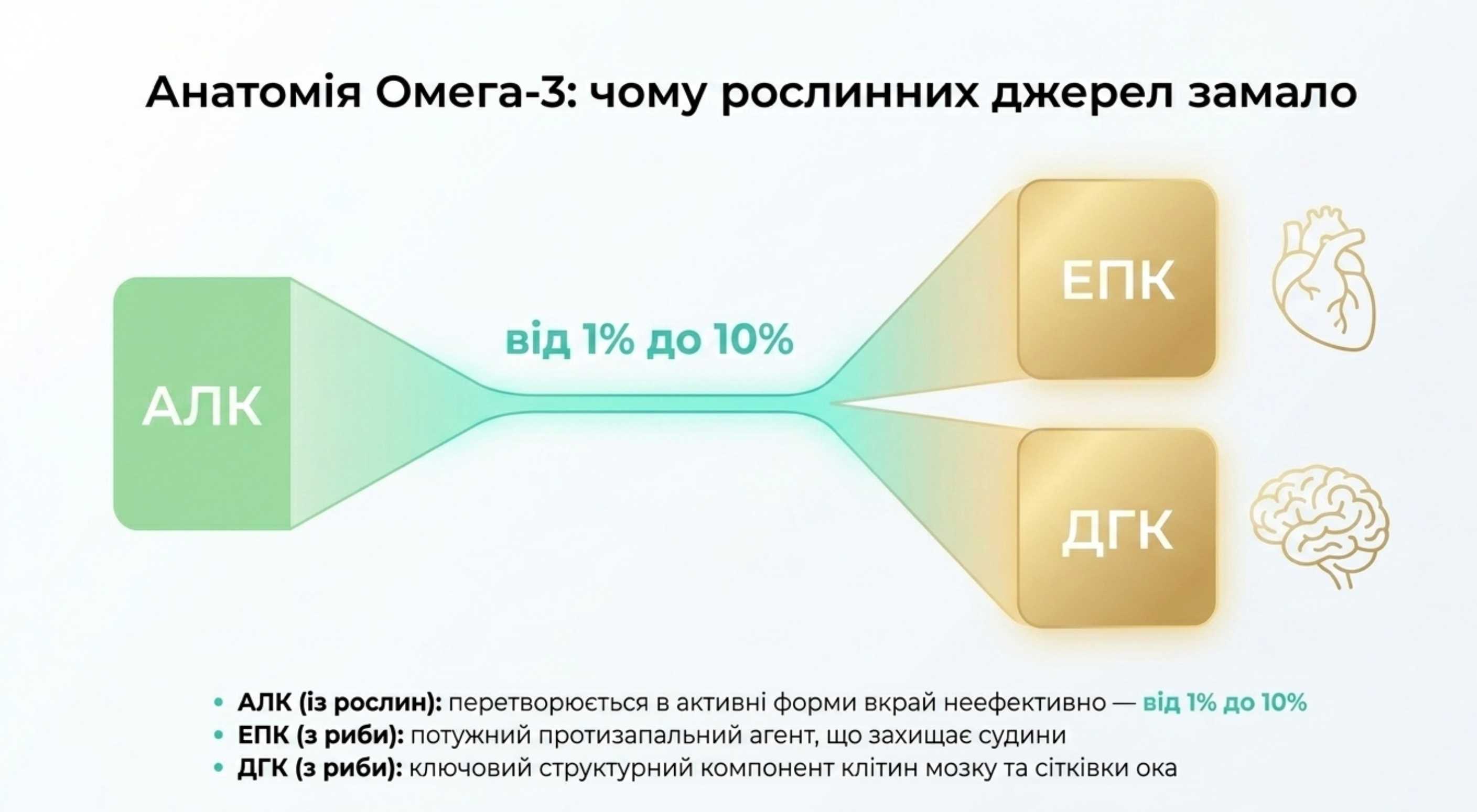Фізіологія та біохімія. Чому добова норма омега 3 критично важлива