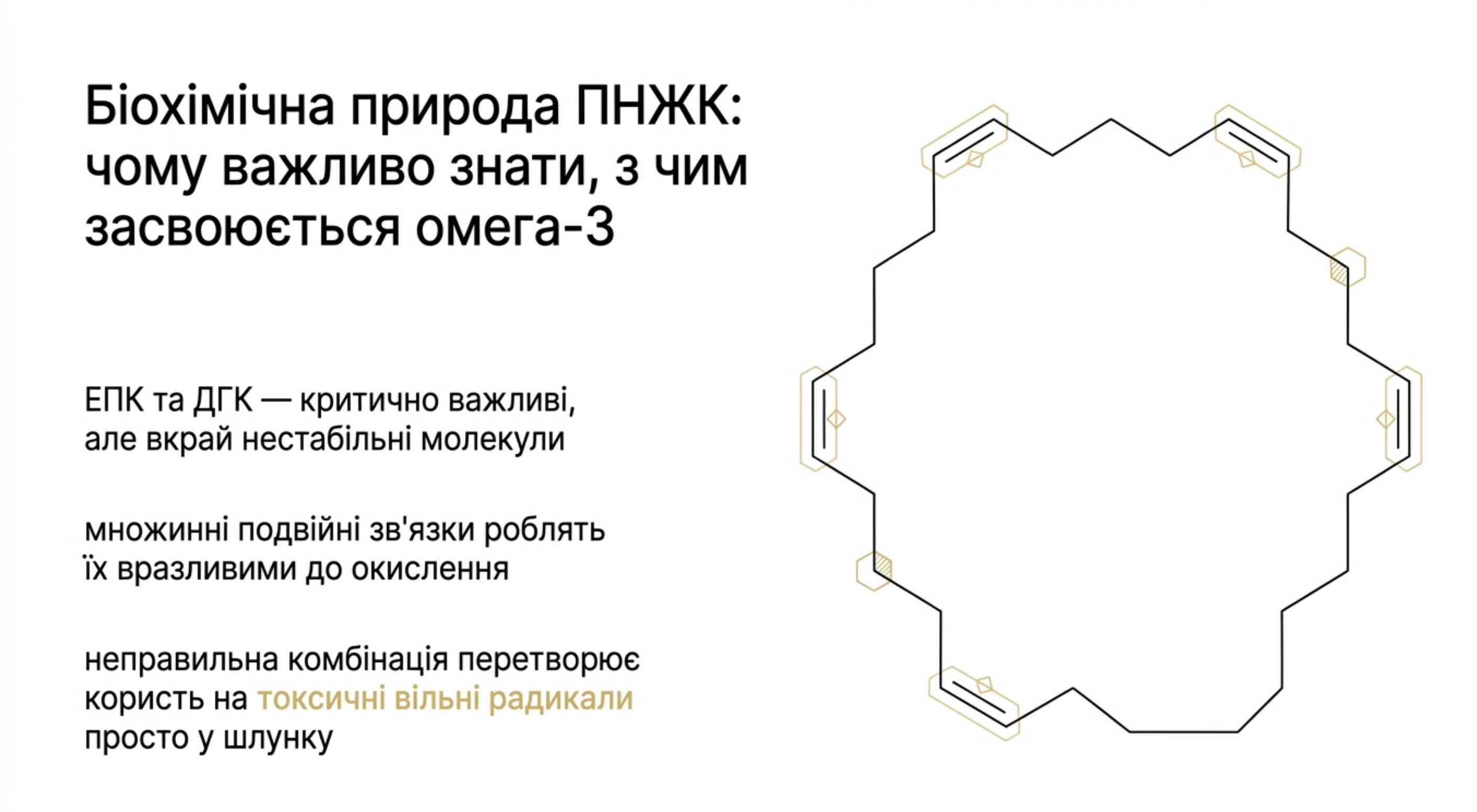 Біохімічна природа ПНЖК. Чому важливо знати, з чим засвоюється омега 3
