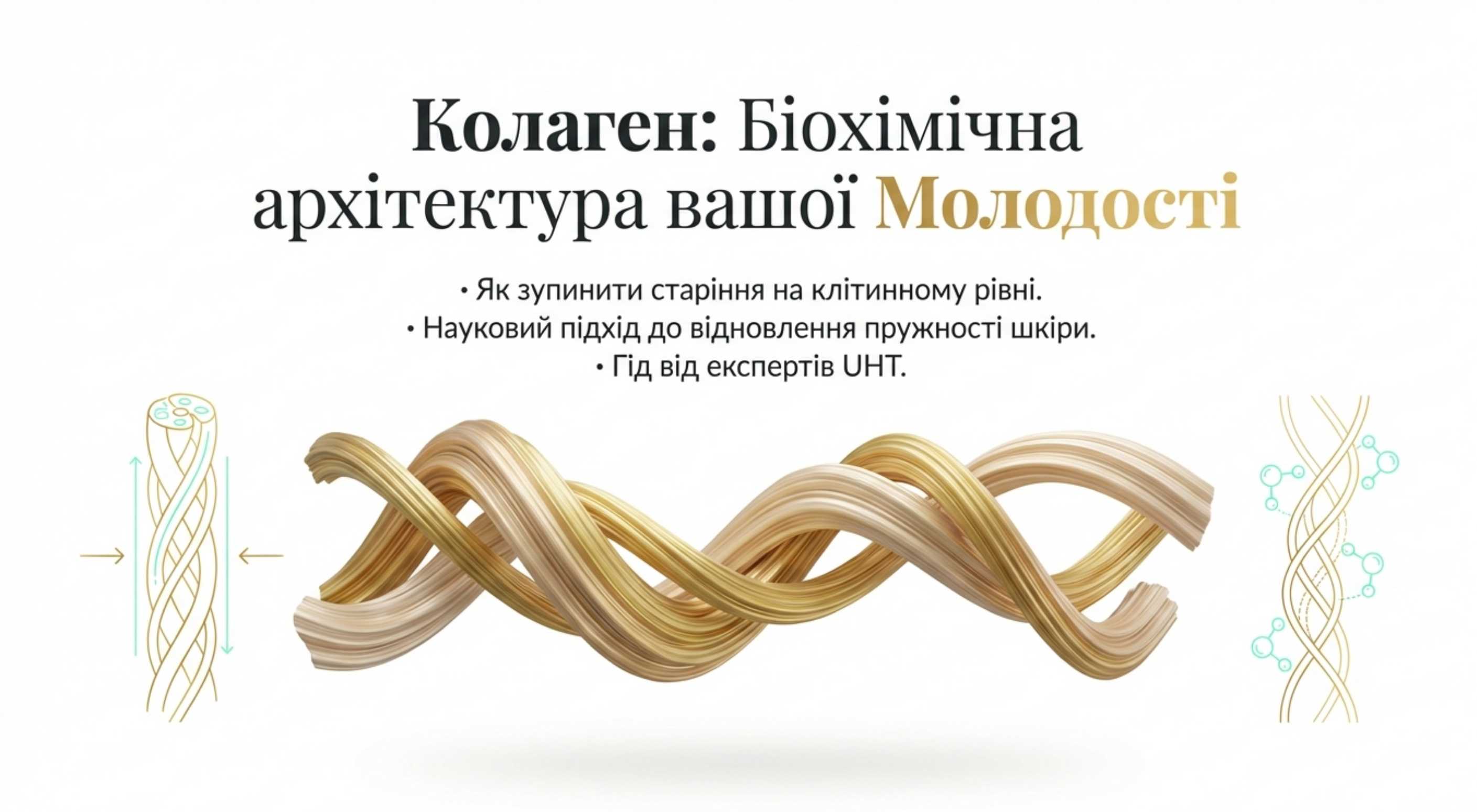 Біохімічна архітектура молодості. Чому цей білок критично важливий