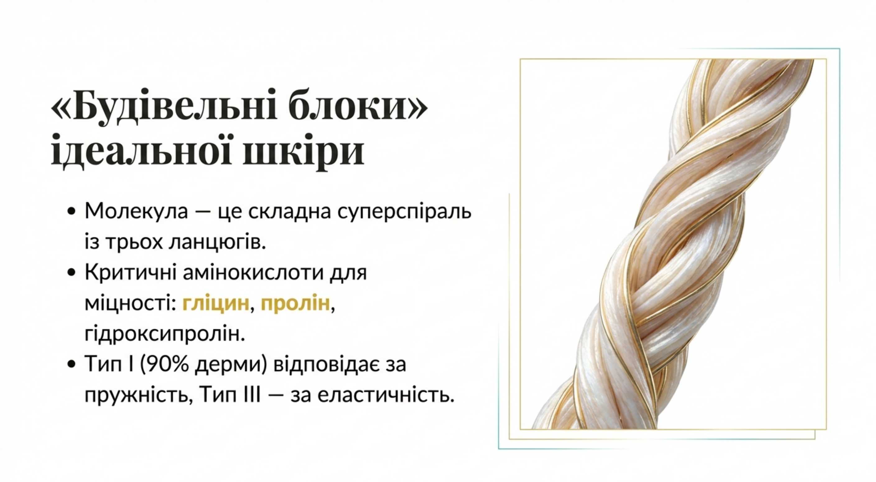 Типи структурних білків та їх вплив на дерму