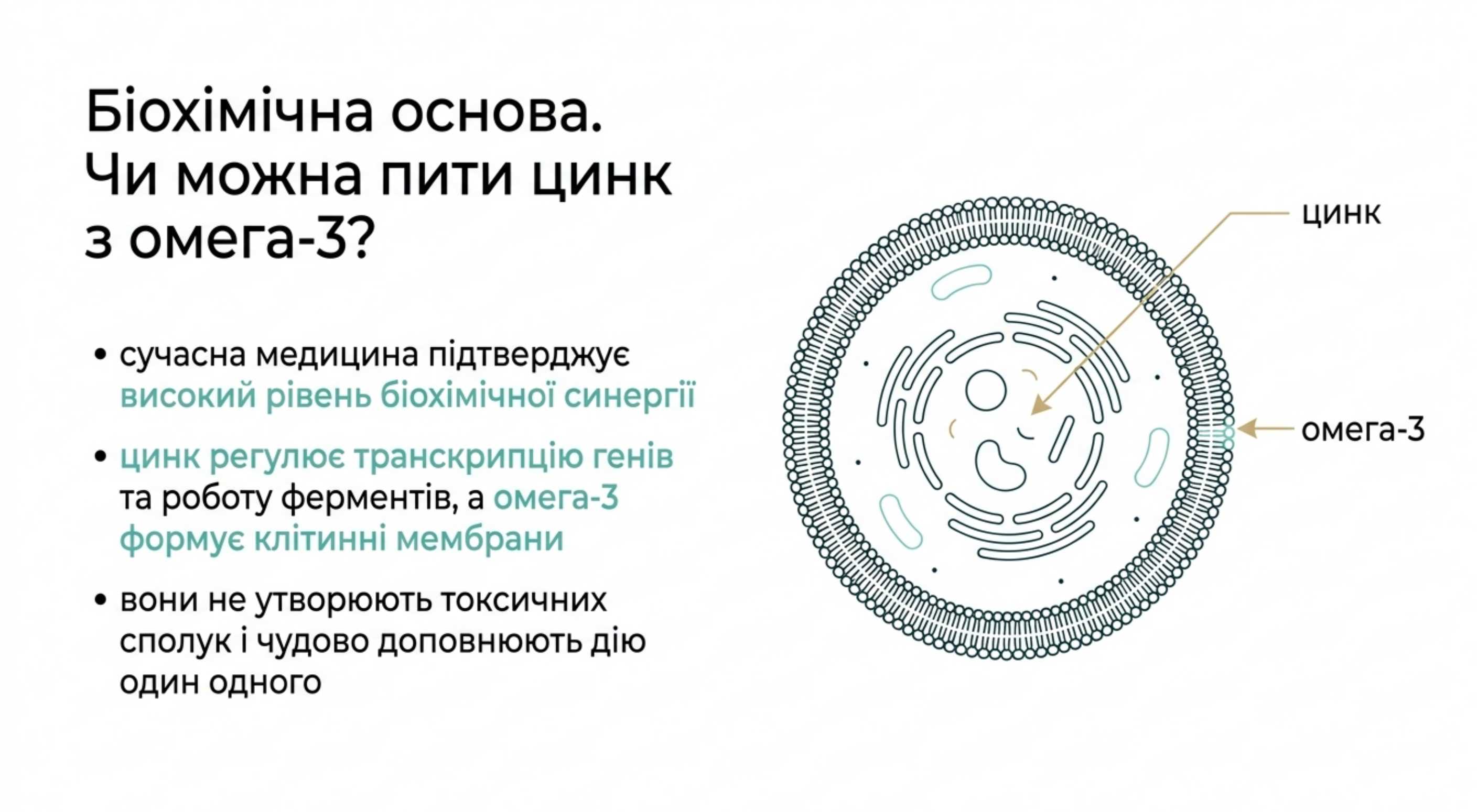 Біохімічна основа. Чи можна пити цинк з омега 3?